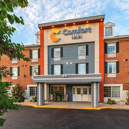 Comfort Inn Sarnia Luaran gambar